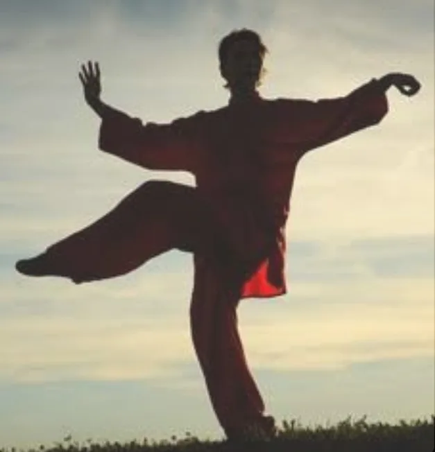 Tai Chi Chuan practice