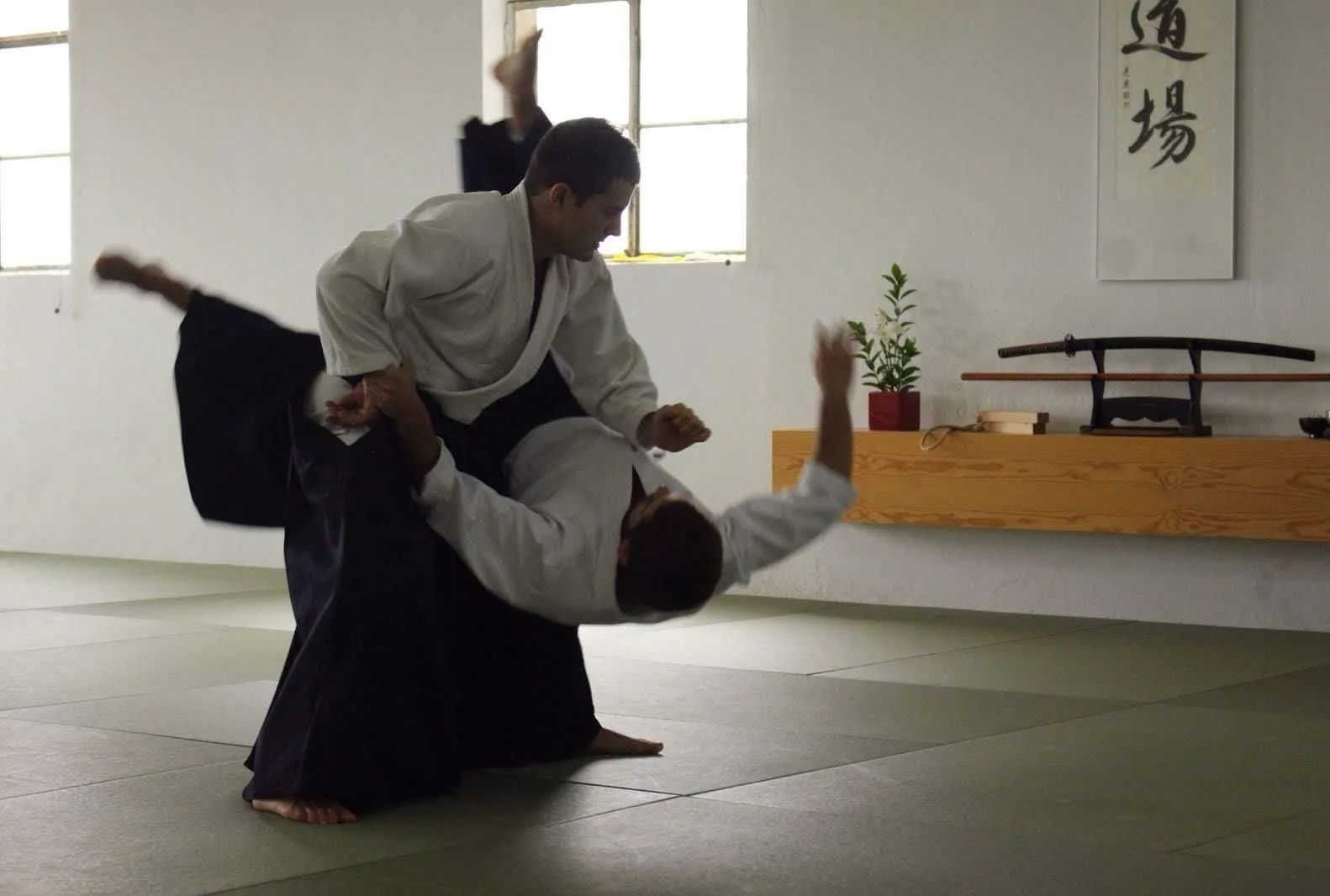 Adults practising Aikido at Dojo da Luz