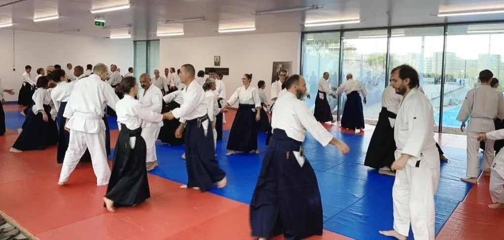 Adults practising Aikido at Dojo da Luz